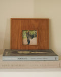 The Arava Frame