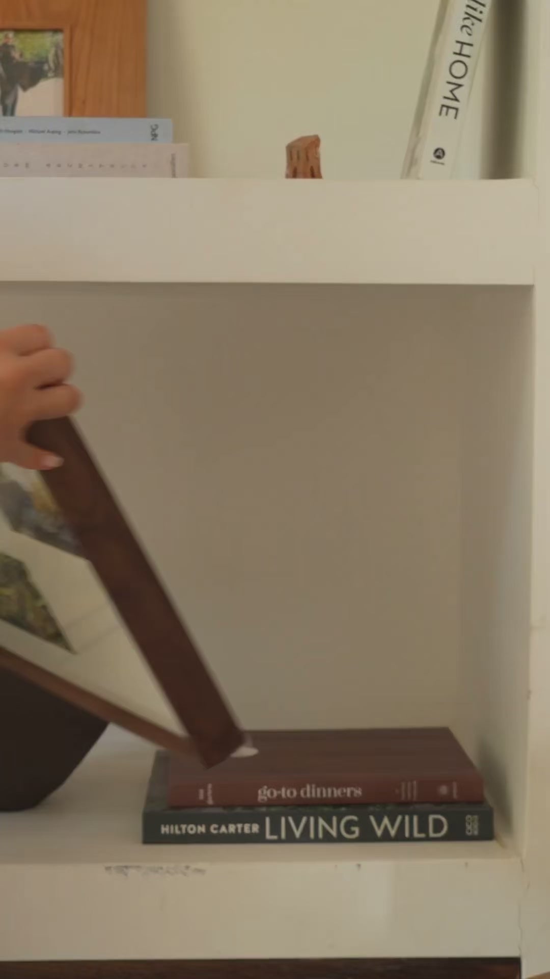 The Bradshaw Frame